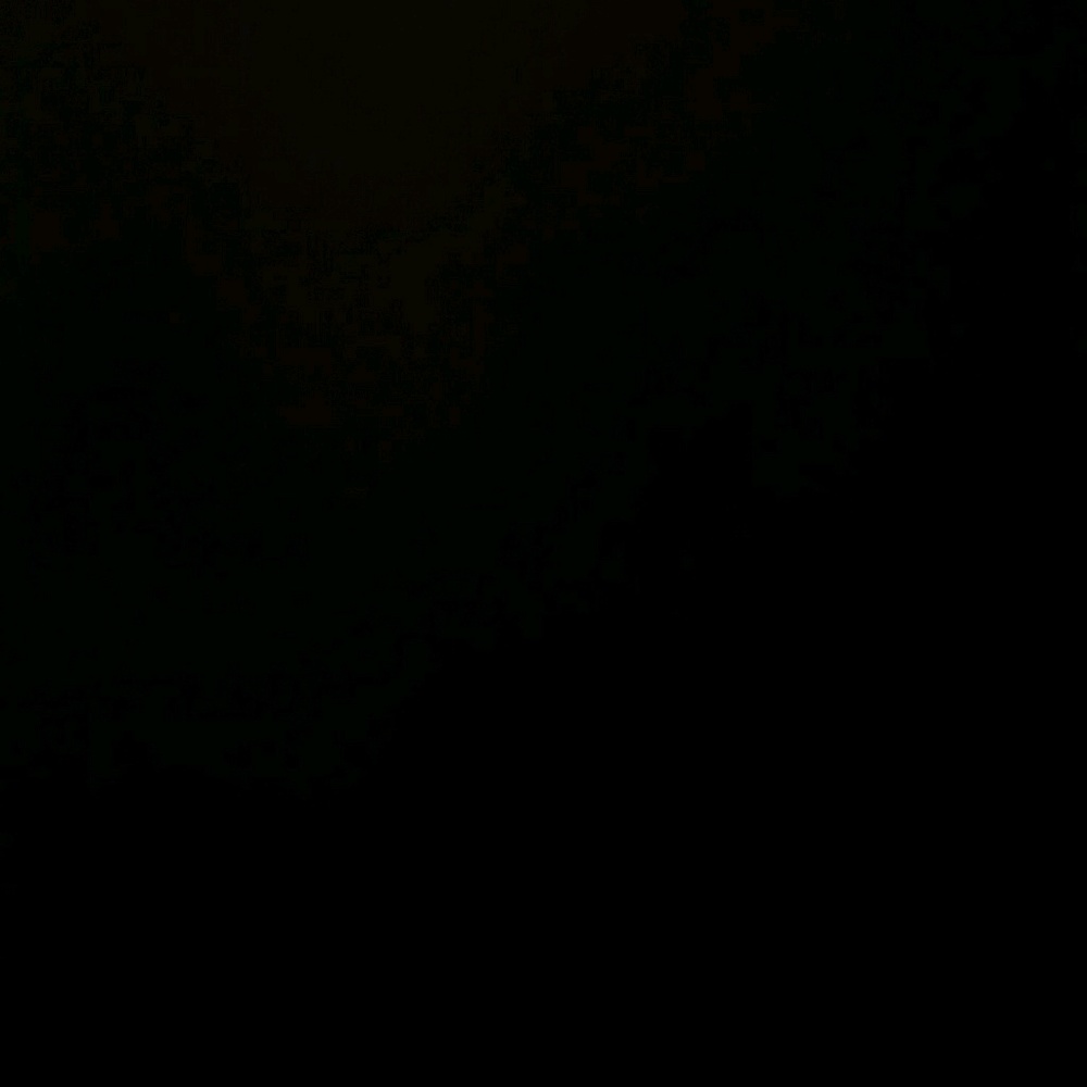 Meet your Posher, Luis